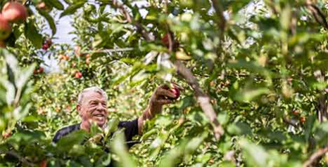 Bio-&Auml;pfel bleiben auch im Fr&uuml;hjahr und Sommer eine Schl&uuml;sselkategorie